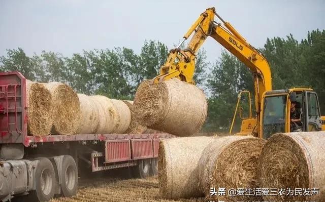 政府補(bǔ)貼項(xiàng)目查詢2020，政府補(bǔ)貼項(xiàng)目查詢2020情況？