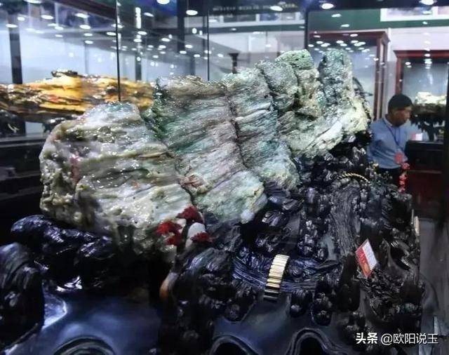 樹化石價格及圖片（樹化石值多少錢一個）