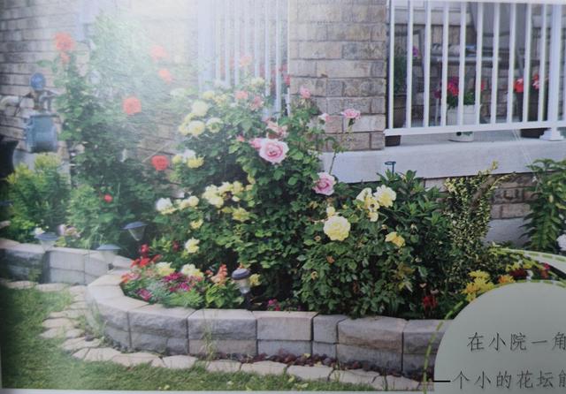 經(jīng)常發(fā)花草朋友圈的女生，朋友圈愛發(fā)花花草草的女人？