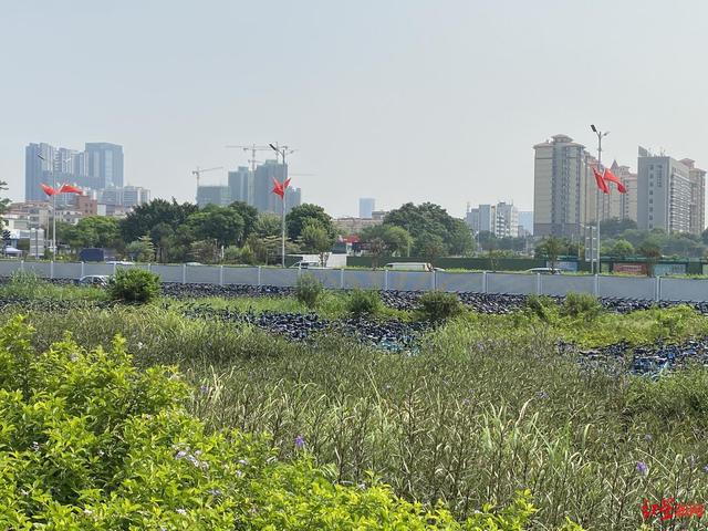 兩輪電動(dòng)車出租平臺(tái)福州（兩輪電動(dòng)車出租平臺(tái)有哪些）