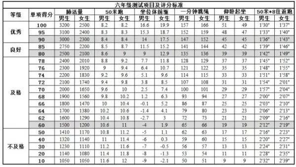 北京小學體育考試項目及標準2022（小學體育考試項目及標準2022山東）
