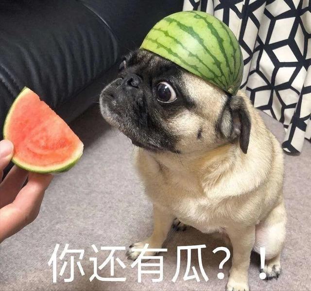 快手網(wǎng)紅韓婧格網(wǎng)站哪里可以看，快手網(wǎng)紅韓婧格網(wǎng)站哪里可以看到？