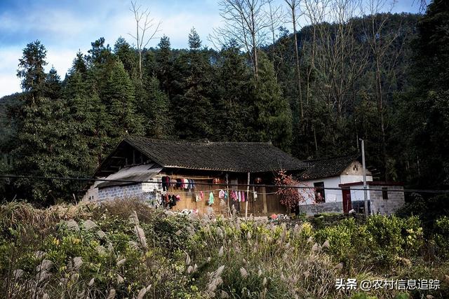 想在家搞養(yǎng)殖有什么好項目，適合在家養(yǎng)殖的好項目？