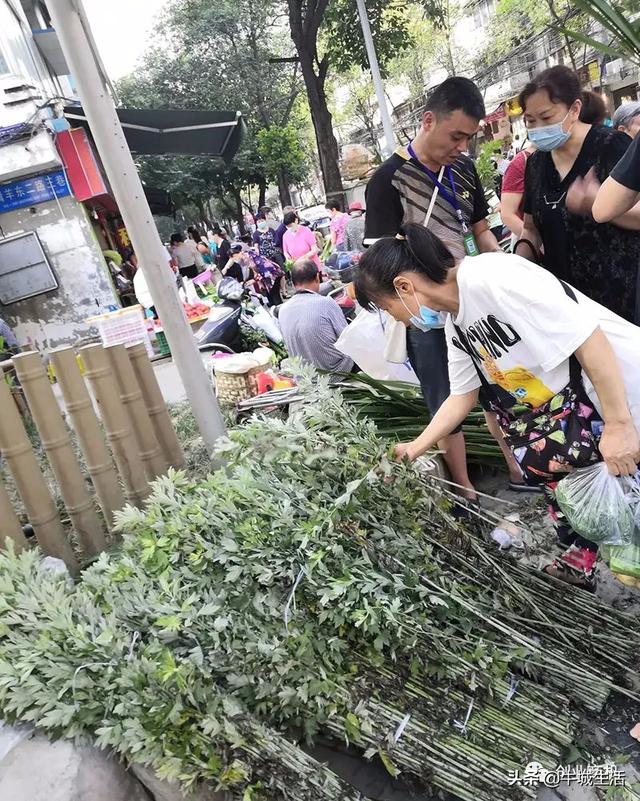 冷門生意有哪些十大冷門生意利潤高，冷門生意有哪些十大冷門生意利潤高網(wǎng)購？