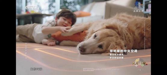 tvc廣告報(bào)價(jià)（tvc廣告制作報(bào)價(jià)）