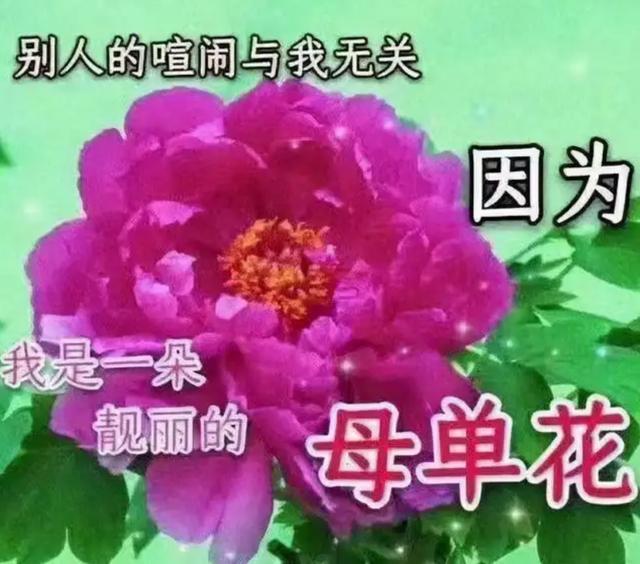 芭比Q網(wǎng)絡用語（芭比q了網(wǎng)絡用語）