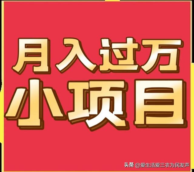 農(nóng)業(yè)致富好項目，農(nóng)村養(yǎng)殖致富？