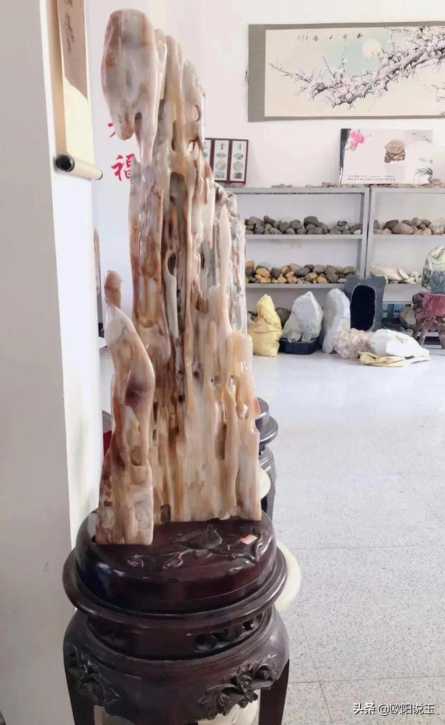 樹化石價格及圖片（樹化石值多少錢一個）