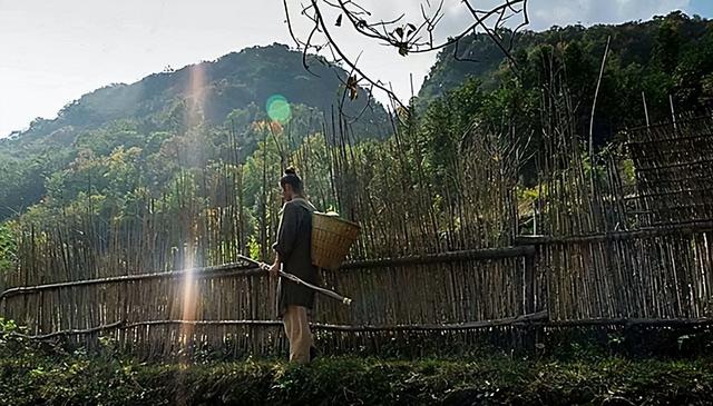 悠然人生賺錢軟件，樂悠悠賺錢？