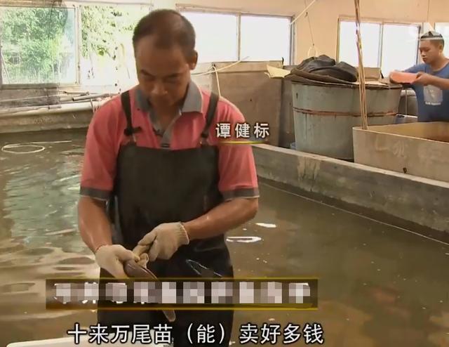 水產(chǎn)生意有多暴利（水產(chǎn)行業(yè)利潤）