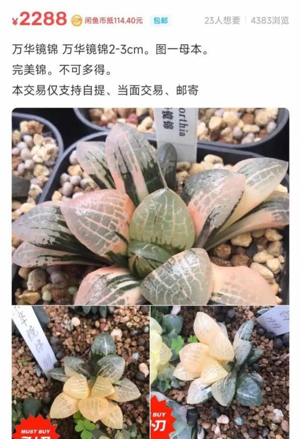 閑魚客服24小時熱線人工電話acecom閑魚客服24小時熱線人工電話號碼at（閑魚客服24小時熱線人工電話號碼）