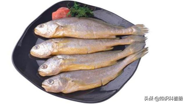 富含鋅的食物排名，含鋅的食物十大排行表？
