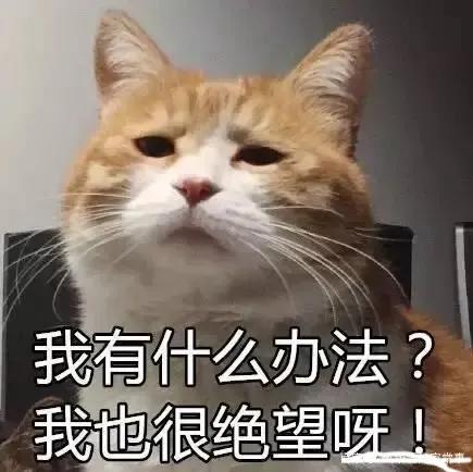 現(xiàn)實中唯唯諾諾網絡上重拳出擊是什么意思表情包下載（網絡上重拳出擊 現(xiàn)實中唯唯諾諾什么意思）