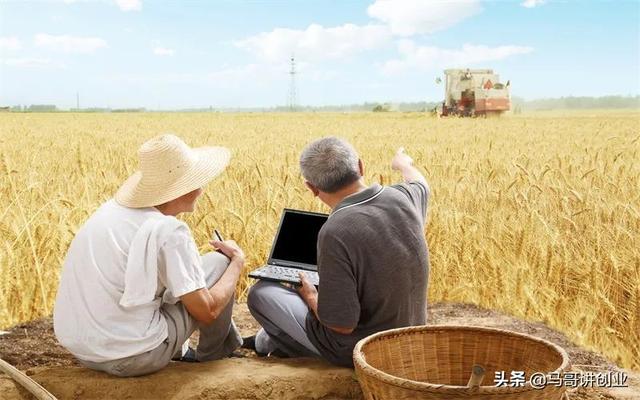 現(xiàn)在做什么生意賺錢投資小利潤(rùn)大村里（縣城適合做什么生意投資小回報(bào)快呀）