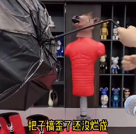 小楊哥在哪里直播帶貨視頻，小楊哥在哪里平臺直播幾點(diǎn)直播