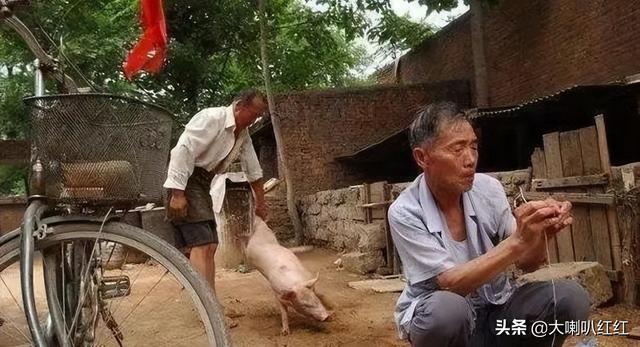 豬睪丸怎么做好吃視頻（豬睪丸怎么做好吃法大全）