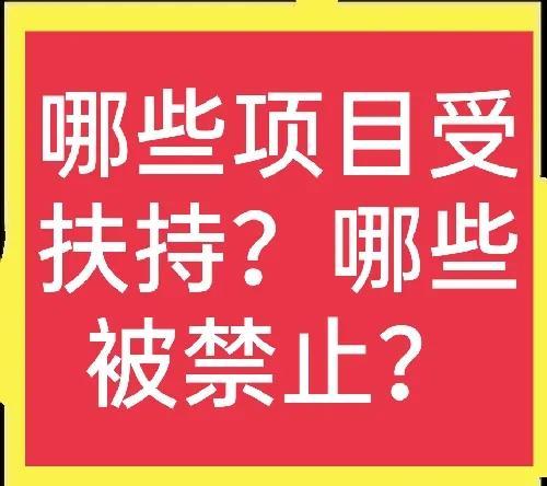 農(nóng)村辦廠政府扶持項(xiàng)目有哪些政策（農(nóng)村辦廠政府扶持項(xiàng)目有哪些補(bǔ)貼）