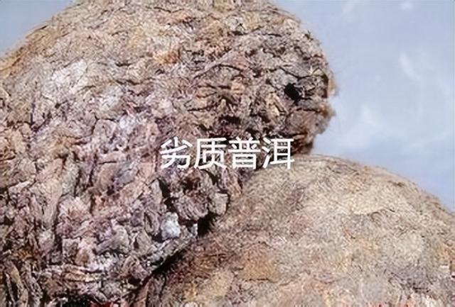 普洱茶經(jīng)期間能喝嗎（普洱生茶的保質(zhì)期一般是多久）