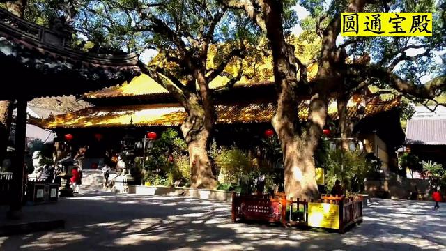 普陀山在哪里哪個(gè)省份哪個(gè)市（普陀山在哪個(gè)省哪個(gè)市）
