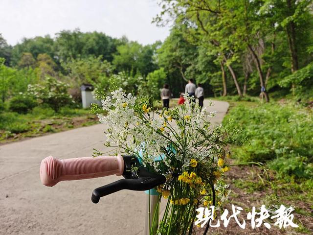 南京抖音網(wǎng)紅地點(diǎn)火車兒童（南京抖音網(wǎng)紅地點(diǎn)火車叢林）