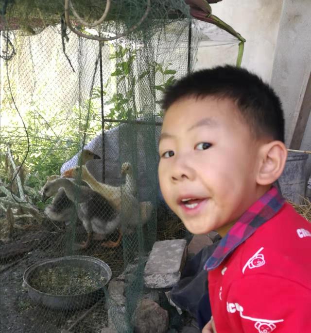 老家的感覺好的句子（喜歡老家生活的句子）