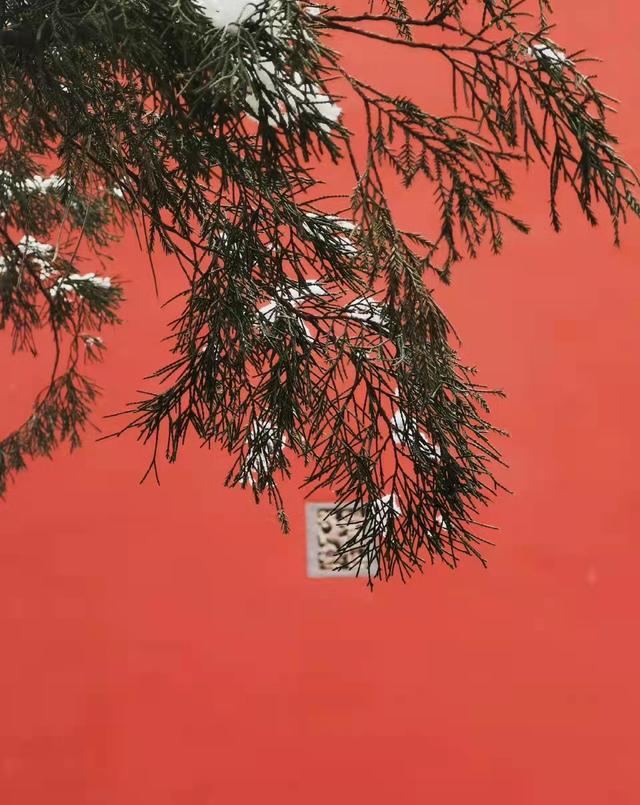 故宮高清圖片（游覽故宮平面圖）