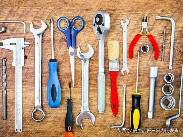 農(nóng)業(yè)致富好項目，農(nóng)村養(yǎng)殖致富？