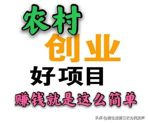 在農(nóng)村鄉(xiāng)鎮(zhèn)做什么能賺到錢呢（農(nóng)村鄉(xiāng)鎮(zhèn)干什么能賺錢）