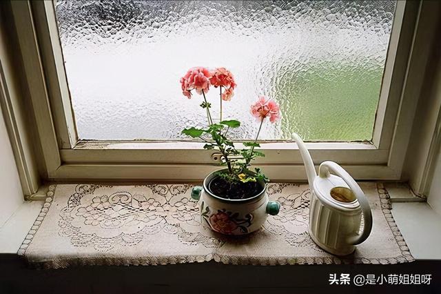 賺錢(qián)好難啊txt（賺錢(qián)真的好難哦百度網(wǎng)盤(pán)txt下載）