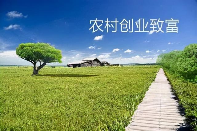農(nóng)產(chǎn)品電商項(xiàng)目計(jì)劃書名稱，農(nóng)產(chǎn)品電商項(xiàng)目計(jì)劃書名稱怎么寫