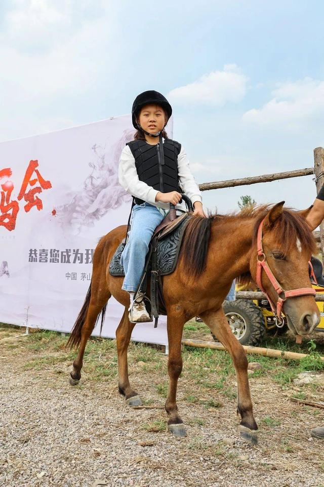 關于騎馬的朋友圈文字，朋友圈一匹馬配文字？