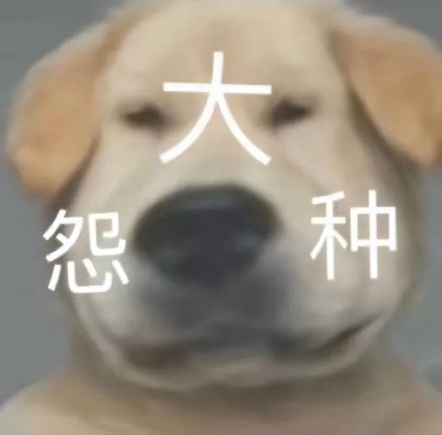 適合520發(fā)的朋友圈句子，適合520發(fā)的朋友圈句子搞笑？