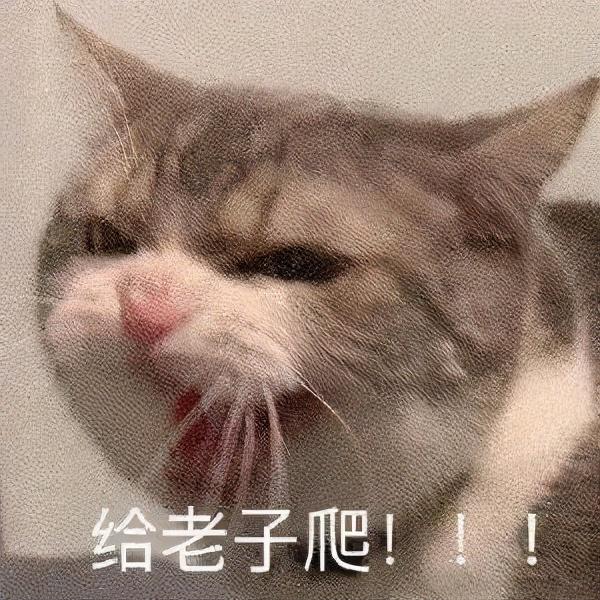 推特關(guān)鍵詞推薦在哪里設(shè)置（推薦幾個(gè)推特關(guān)鍵詞）