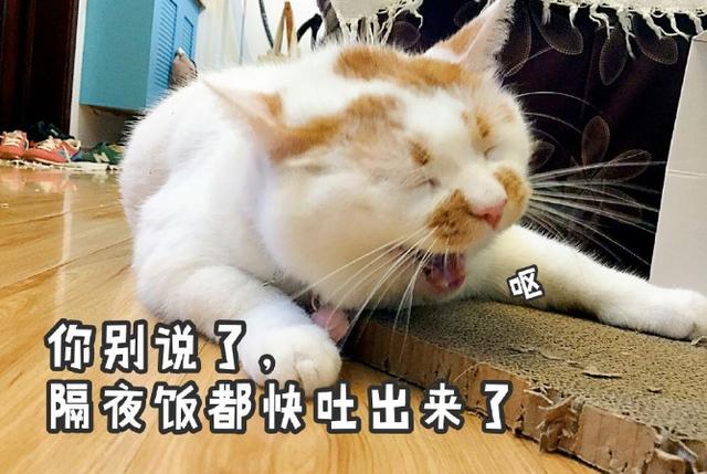 有趣的簡介可以吸引粉絲寶媽，有趣的簡介可以吸引粉絲寶媽嗎？