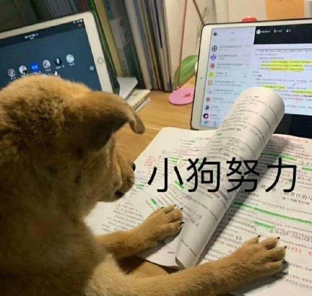 朋友圈無人問津的意思，本想結(jié)果無人問津朋友圈句子？