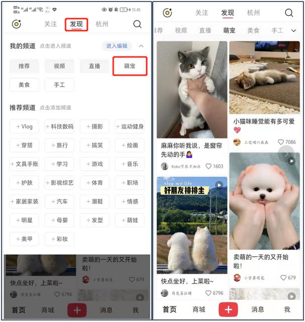 寵物店創(chuàng)業(yè)ppt模板免費(fèi)，寵物店創(chuàng)業(yè)計(jì)劃書市場營銷計(jì)劃？