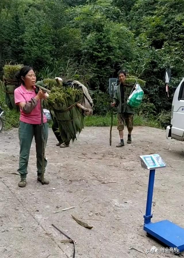 冷門生意有哪些十大冷門生意利潤高，冷門生意有哪些十大冷門生意利潤高網(wǎng)購？
