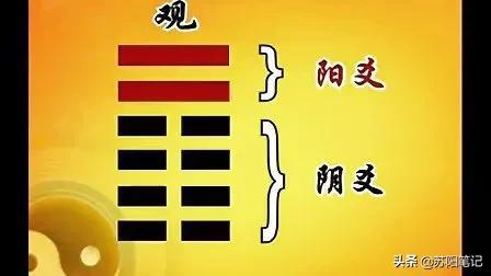 南懷瑾易經(jīng)講解視頻全集（易經(jīng)講解視頻全集曾仕強）