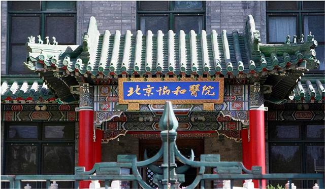 袁婆搞笑視頻合集（袁婆搞笑視頻蹭飯）