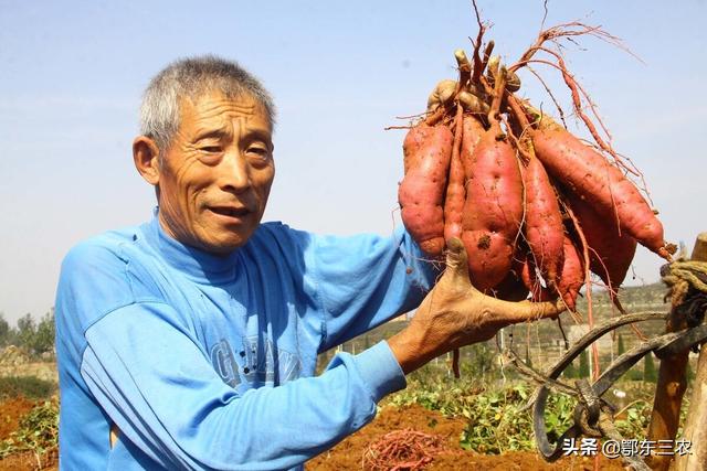 在家賺錢(qián)的十五種方法，在家賺錢(qián)的十種方法2016？