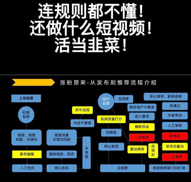 抖音審核結(jié)果不適合繼續(xù)推薦（抖音推薦審核需要多久）