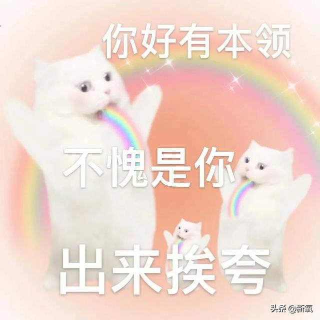 網(wǎng)紅星探直播選秀，帥哥美女紛紛落榜，年度能消除顏值焦慮的素材