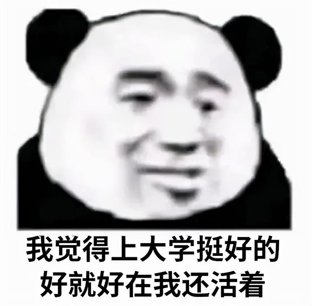 皮包公司一般都做什么（勞務(wù)公司是皮包公司嗎）