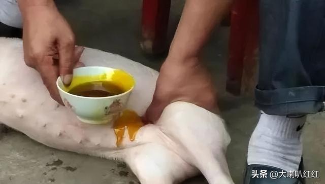 豬睪丸怎么做好吃視頻（豬睪丸怎么做好吃法大全）