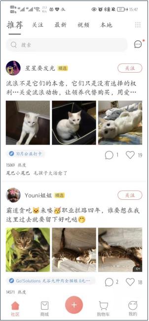 寵物店創(chuàng)業(yè)ppt模板免費(fèi)，寵物店創(chuàng)業(yè)計(jì)劃書市場營銷計(jì)劃？