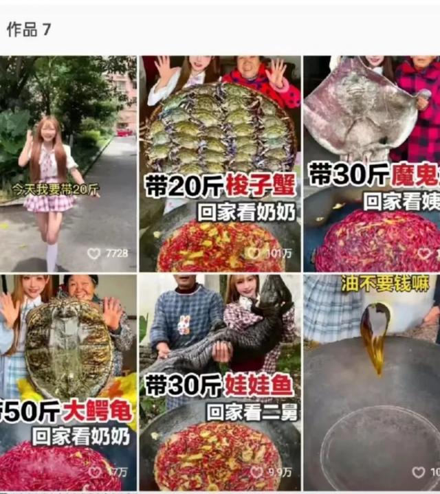 抖音網(wǎng)紅莉哥怎么了到底，抖音女網(wǎng)紅莉哥怎么了？