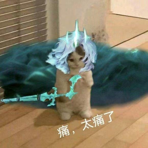 朋友圈怎么發(fā)歌曲鏈接和圖片鏈接（朋友圈如何既發(fā)圖片又發(fā)歌曲鏈接）