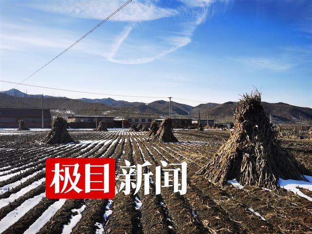 創(chuàng)業(yè)失敗負(fù)債還不起了怎么辦，創(chuàng)業(yè)失敗欠了一屁股債怎樣才能翻身天天被催債？