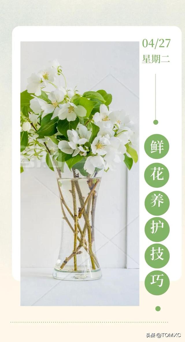 玫瑰鮮花怎樣才能養(yǎng)時間長些（買的鮮花怎么養(yǎng)時間比較久）