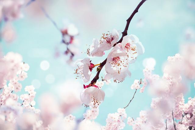 適合發(fā)朋友圈掙錢的句子幽默，適合發(fā)朋友圈掙錢的句子幽默搞笑？